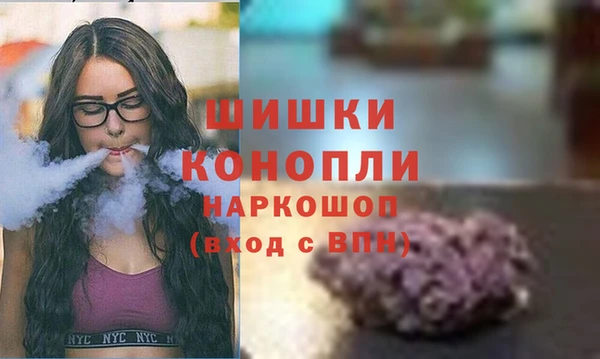 spice Козловка