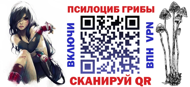 Купить где  Шахты  Галлюциногенные грибы Psilocybe 